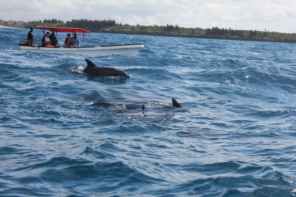 Dolphin Safari Lodge Mahonda Luaran gambar