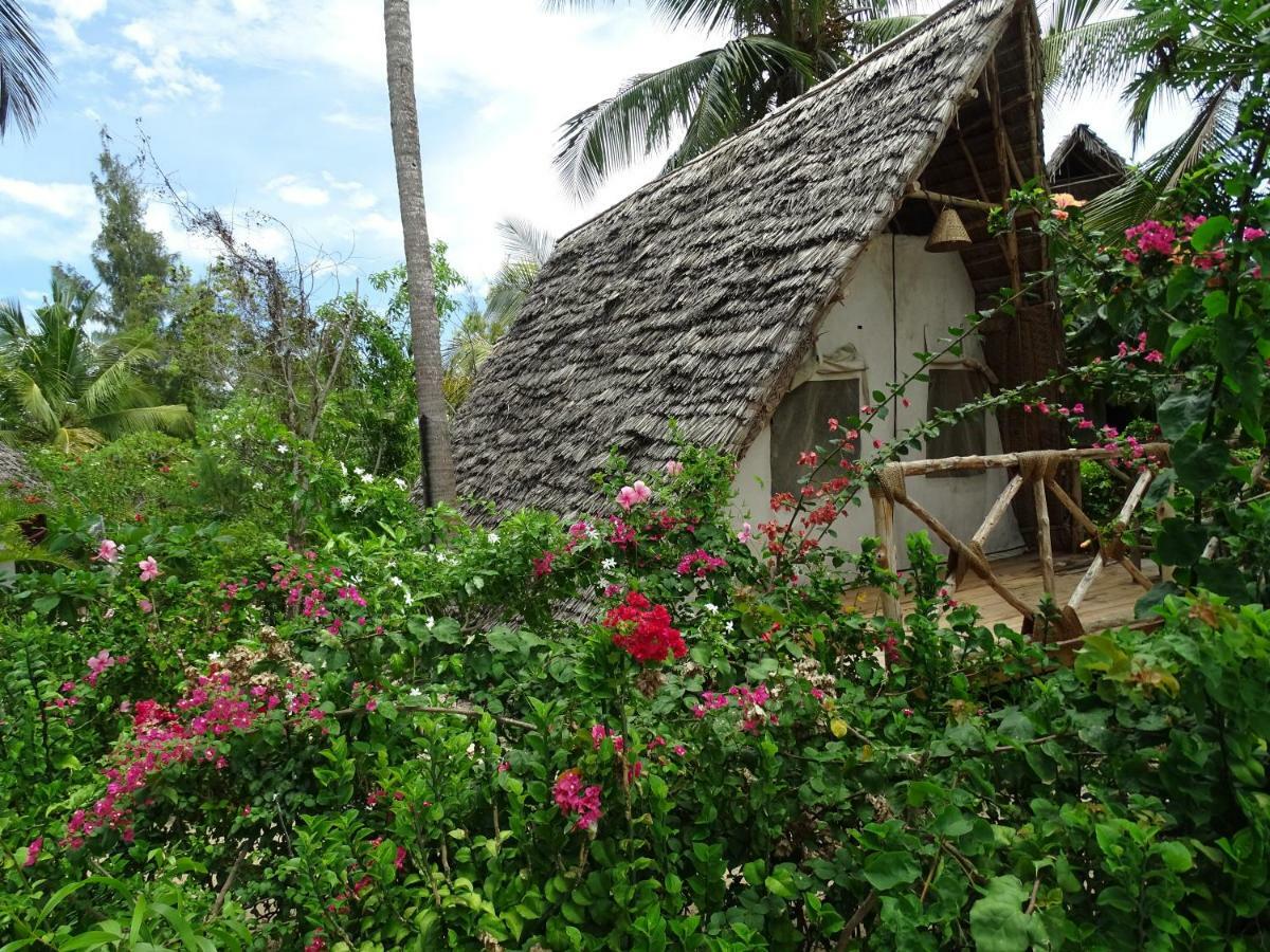 Dolphin Safari Lodge Mahonda Luaran gambar